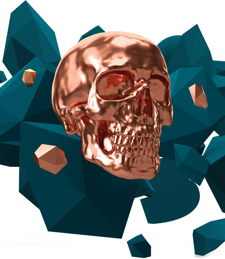 Advanced Facial Bone Surgery
